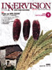 2008年9月号