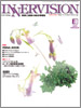2009年2月号