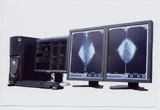 Infinet Mammo`mammary`