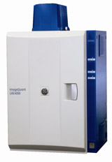 ImageQuant LAS