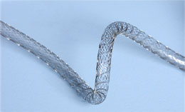 FSS/ Flexstent