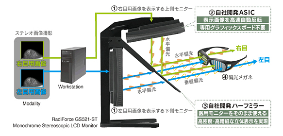 ハーフミラー方式立体視モニターの仕組み