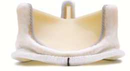 VISERA ELITEVXe
