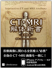 CTEMRI̐V
