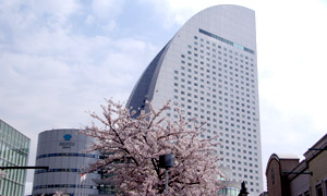 pVtBRl 