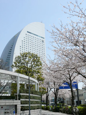 今年は受付が展示ホールに移ったため、そこかしこに案内員が注意を促している。