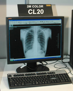 2MsNZ̃J[j^uCL20v