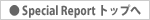 Special Report gbv