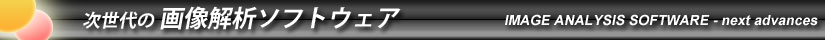 ̉摜̓\tgEFA